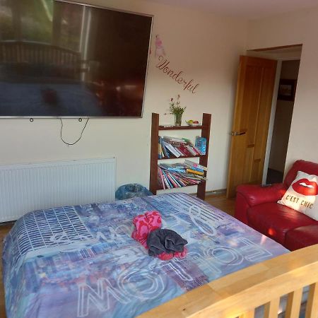 No 9 Manor Way Daire Carmarthen Dış mekan fotoğraf
